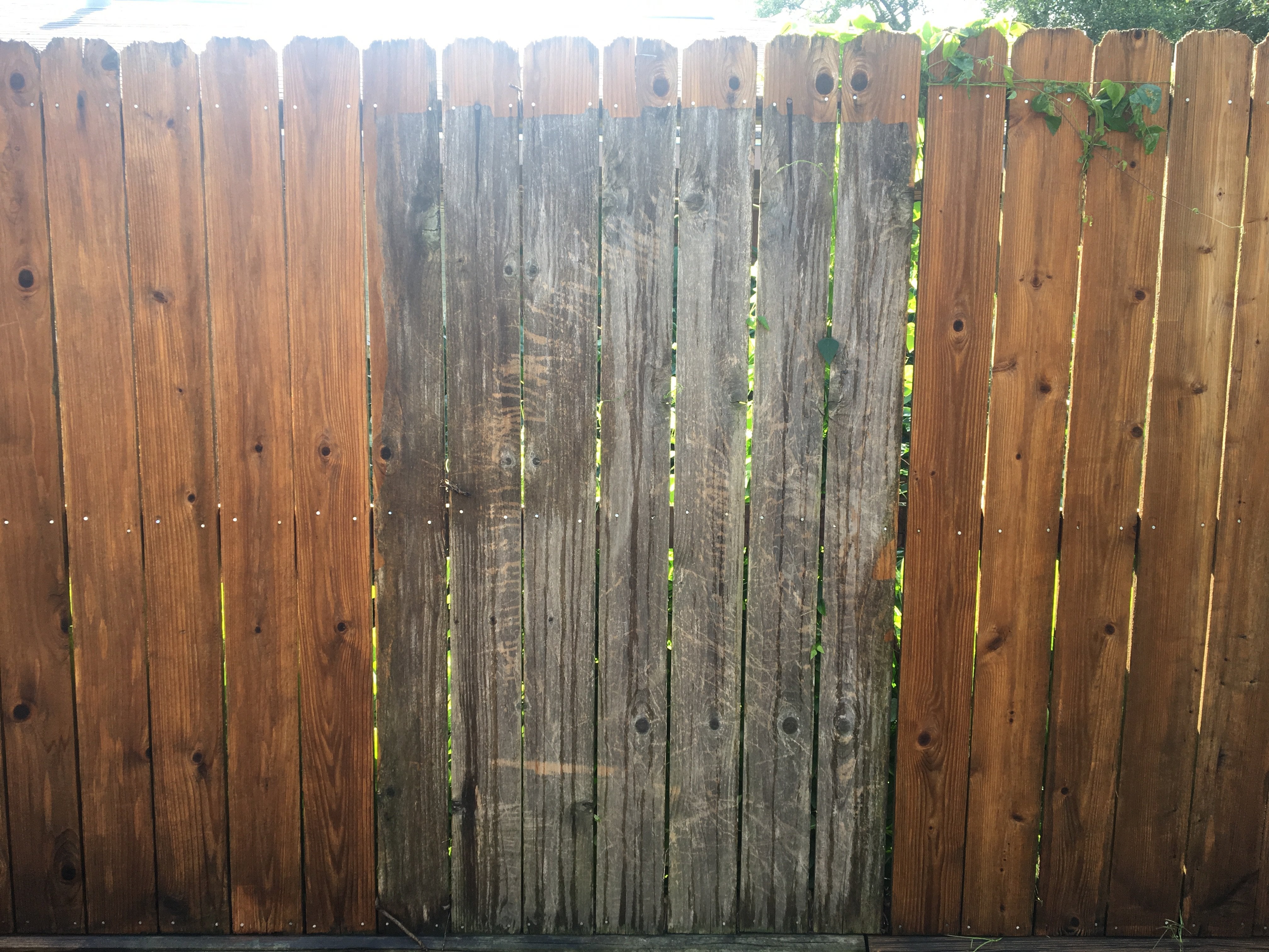 Fence Cleaning